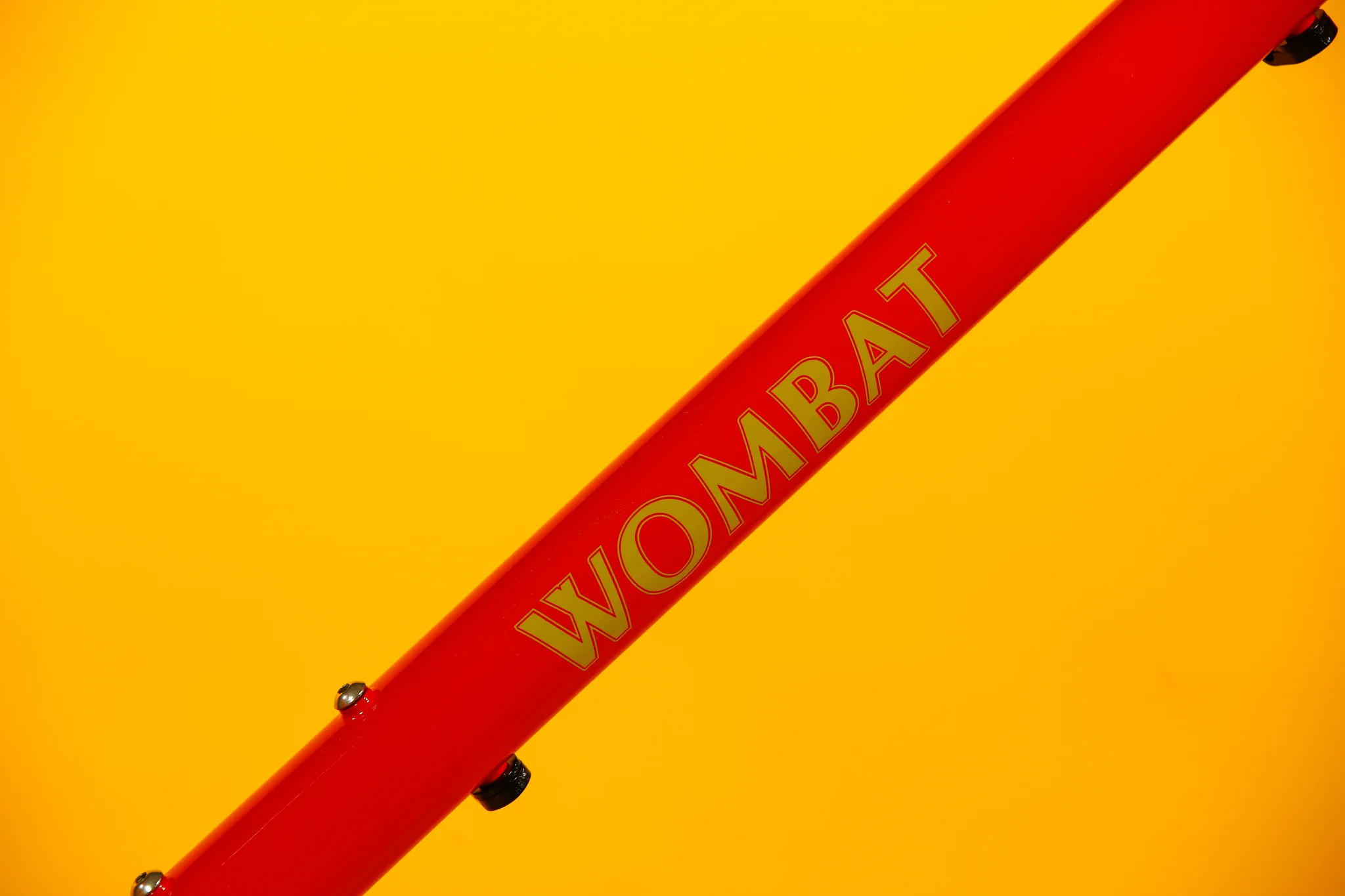 Wombat - Image 18