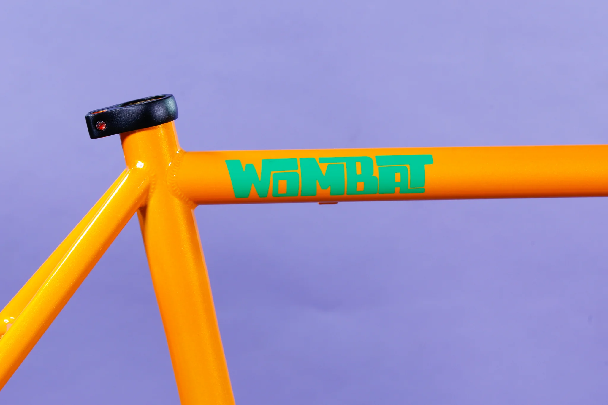 Wombat - Image 7